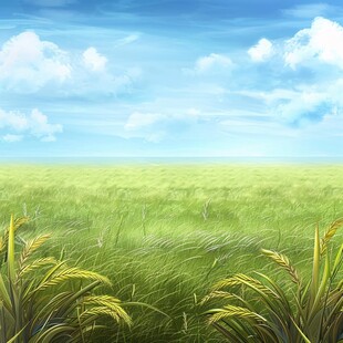稻田插画背景