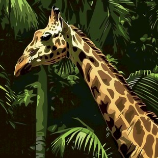 长颈鹿插画