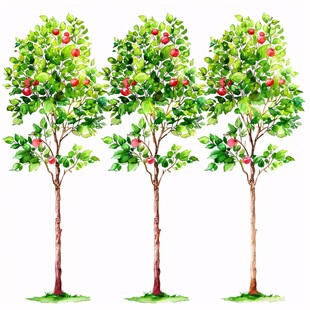 手绘苹果树