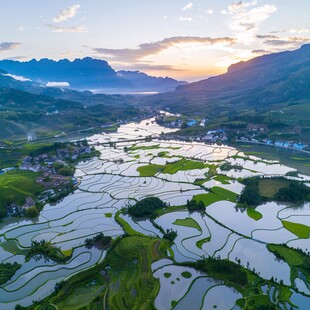 陌上水田