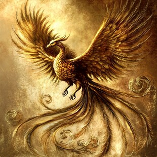 神鸟插画鸾鸟玄鸟朱雀