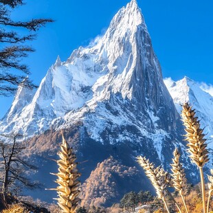 四姑娘山自然风景