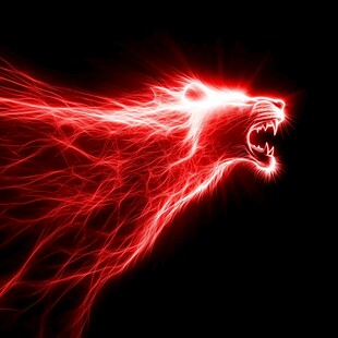 动物创意炫光效果