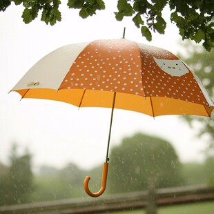 撑开的花格子雨伞