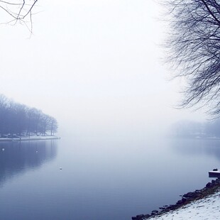 如琴湖雾中雪景