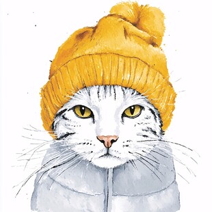 手绘戴头套的猫