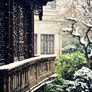 古庭院飘雪