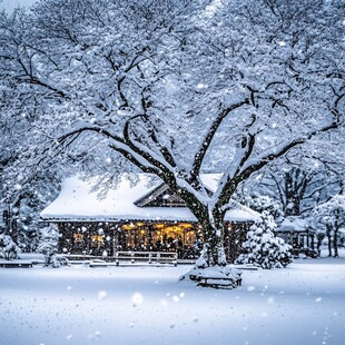 日式园林雪景