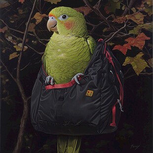 背着书包的动物