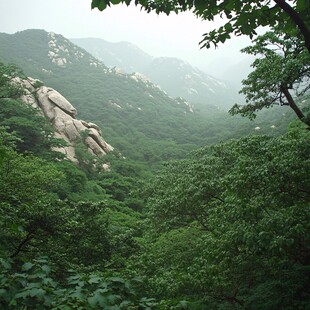 昆嵛山风景