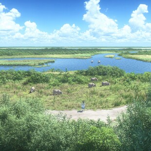 呼伦湖湿地场景还原