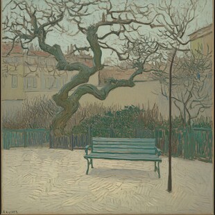 玉兰树下的长椅