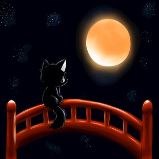 夜晚猫咪插画