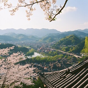 奈良的吉野町