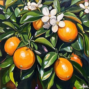 砂糖橘插画设计