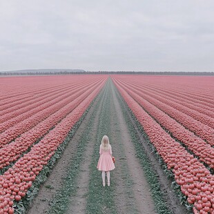 花海里的红衣女子