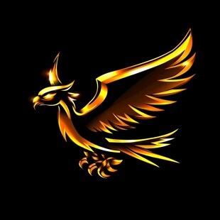 火凤凰设计
