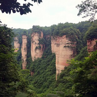 金鞭溪峡谷