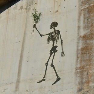 墙绘骷髅