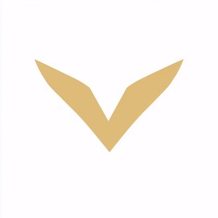 字母v元素logo