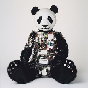 科技熊猫