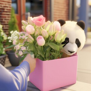 手捧花熊猫