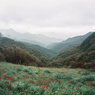 秋色远山花海