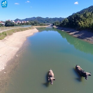 逸仙水库绿道航拍