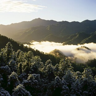 阿里山云海