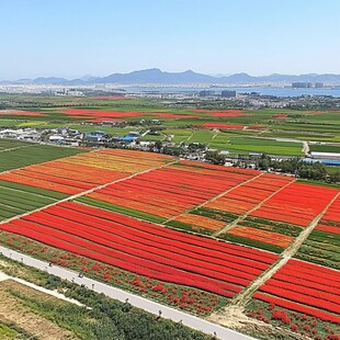 锦绣大地