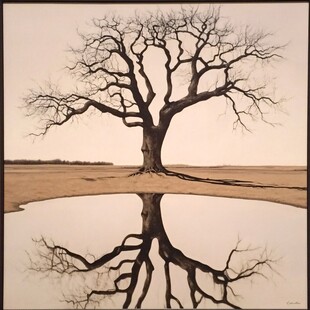 枯树双影