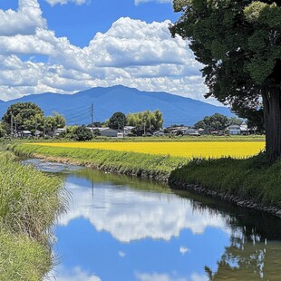 水田一色