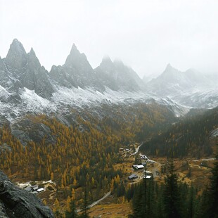 深秋白雪山峰森林黄叶