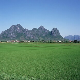 农田远山风光