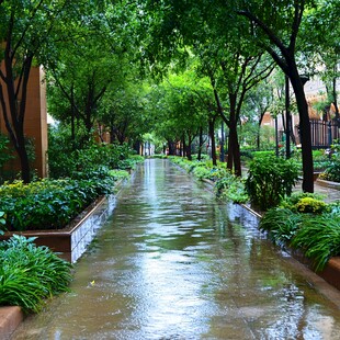 下雨天的小区