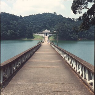 梅子湖栈道