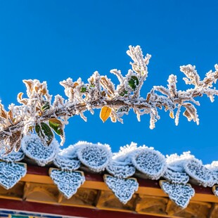 雪后琉璃顶