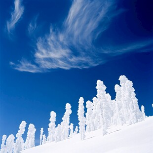 冬日雪景壁纸