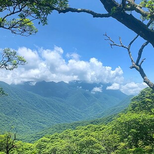 大九湖夏天