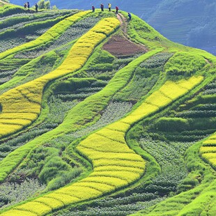 阳光龙脊