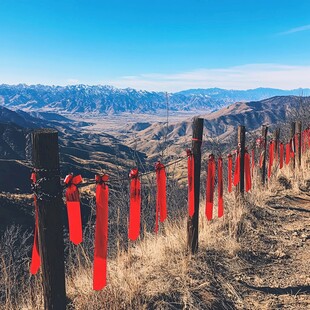 布条祈福