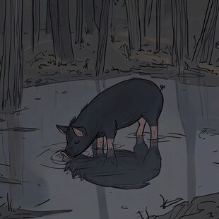黑毛猪插画