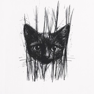 猫咪黑白风插画