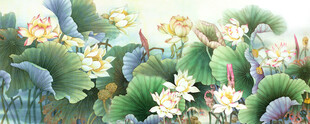 荷花国画
