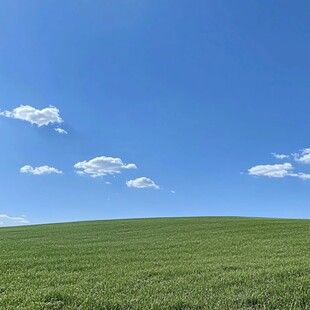 蓝天草地唯美自然