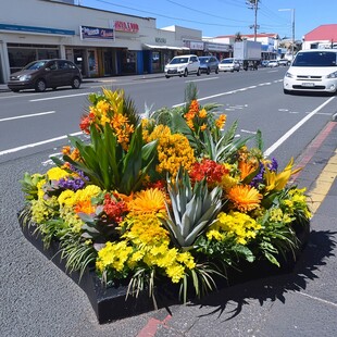 道路中央花台