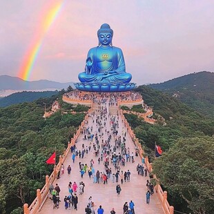 世界第一高佛像