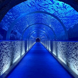 海洋馆隧道