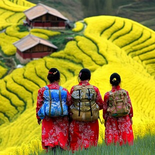 山坡油菜花游客