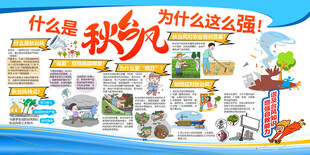 秋台风